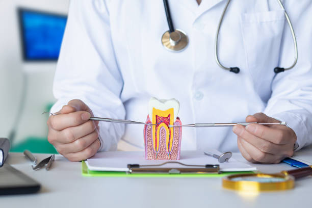 Best After-Hours Dental Trauma Care in Guthrie Center, IA
